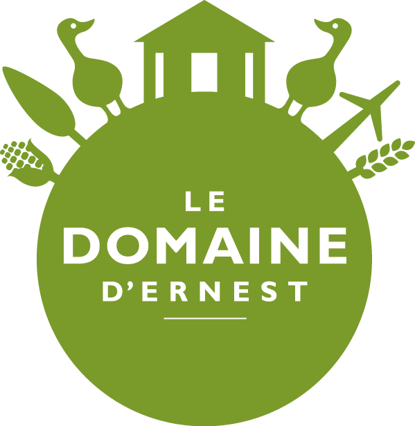 Logo Domaine d'Ernest